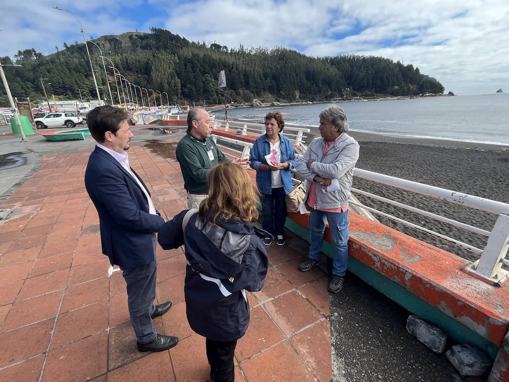 Realizan llamado a no manipular aves o mamíferos muertos o con sintomatología de gripe aviar en playas del Biobío