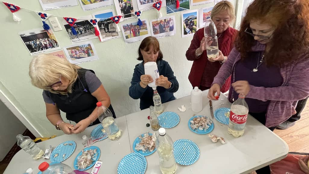 En Talcahuano cultivan alimentos orgánicos proyectando primer huerto sustentable comunitario