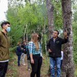 Lanzan convocatoria para recuperar bosque nativo en la Región del Biobío