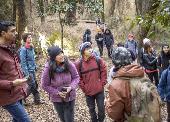 Campus Naturaleza Universidad de Concepción: comienzan visitas guiadas a inédito proyecto de conservación en Chile