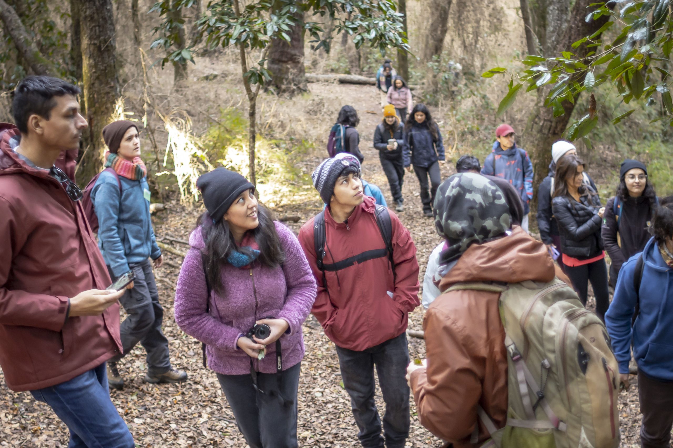 Campus Naturaleza Universidad de Concepción: comienzan visitas guiadas a inédito proyecto de conservación en Chile