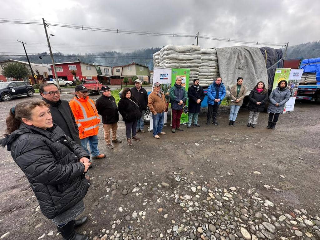 Llaman a agricultores afectados por lluvias a responder catastro productivo en Biobío  