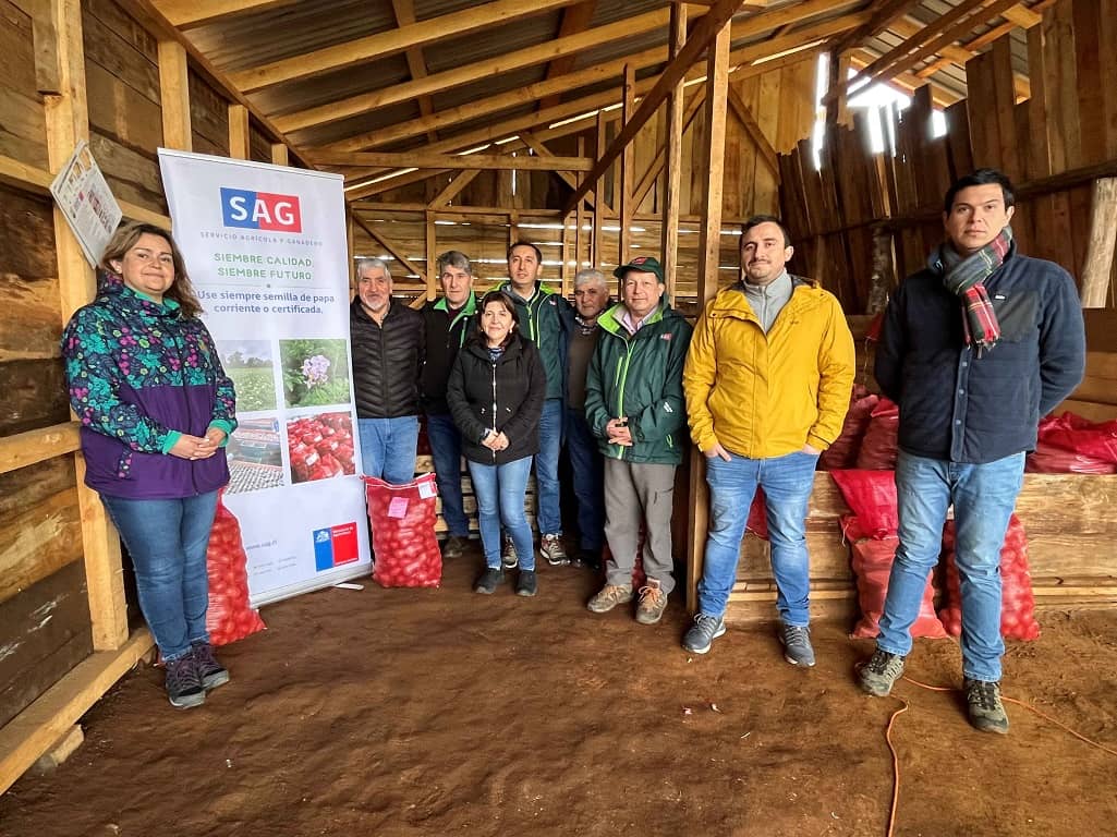 Productores de semillas de papa de la Provincia de Arauco certifican su producción