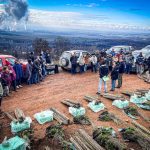 4.000 árboles nativos reciben familias de Nacimiento