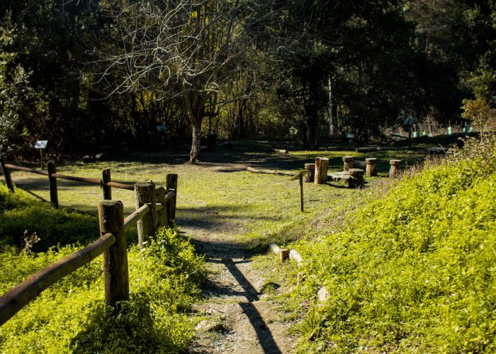 Parque Nacional Nonguén reabre sus puertas a la comunidad