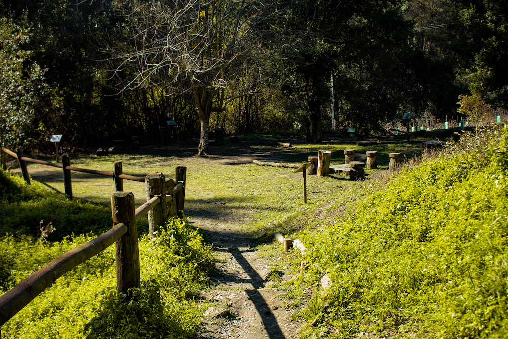 Parque Nacional Nonguén reabre sus puertas a la comunidad