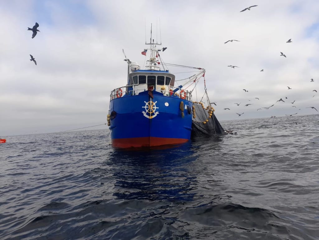 Sancionan con millonaria multa a armador y patrón de embarcación pesquera mayor por realizar faenas en la primera milla destinada a la pequeña pesca artesanal