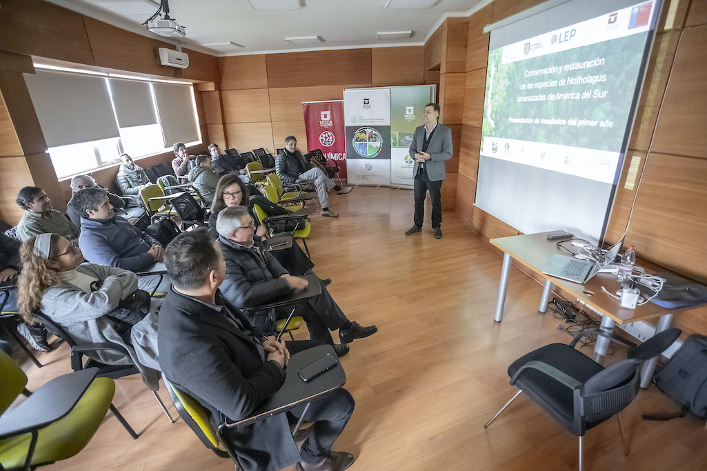 Presentan primeros resultados de proyecto internacional que rescatará Nothofagus amenazados