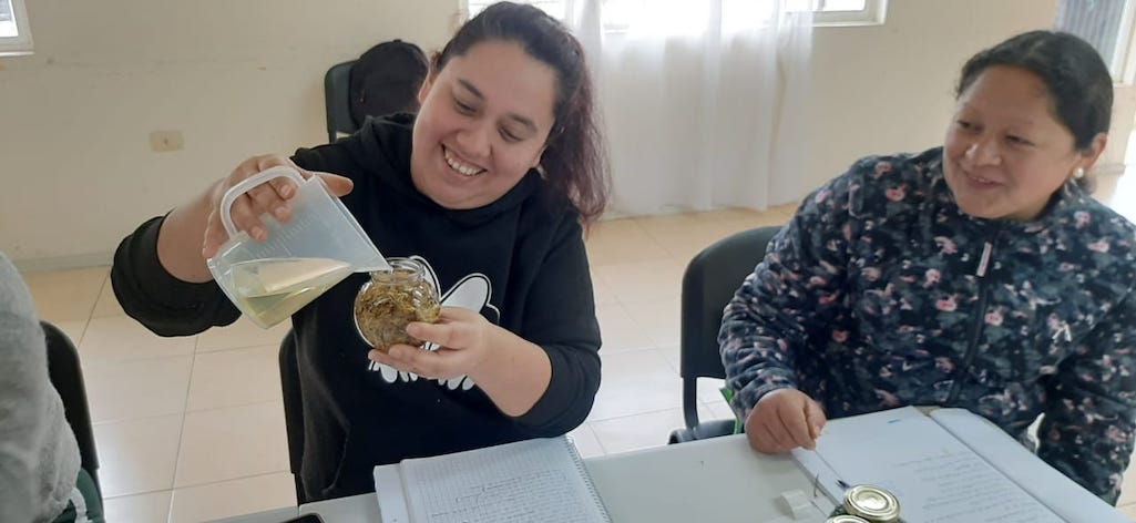 Hualquinas se capacitan en manejo de hierbas medicinales y aromaterapia